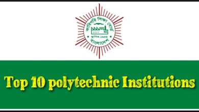 polytechnic Institutions