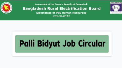 Palli Bidyut Job Circular