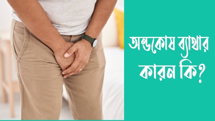 অন্ডকোষ ব্যাথার কারন কি