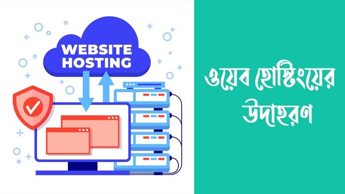 ওয়েব হোস্টিংয়ের উদাহরণ